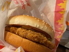 -麦当劳(红旗路店)