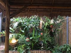 -Jungle Kitchen