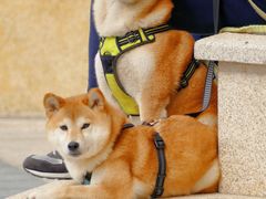 -苏州河梦清园环保主题公园