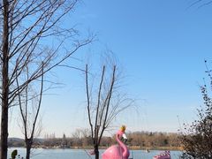 -云龙湖旅游景区