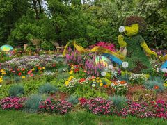 -上海共青森林公园