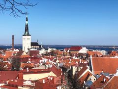 景点-塔林历史中心