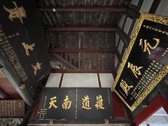 -青城山