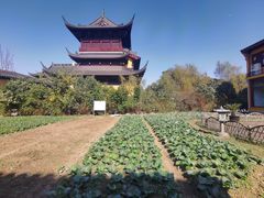 -重元寺香积厨素斋馆