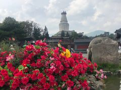 -小五台金河景区