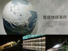 -四川大学博物馆