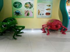 -上海昆虫博物馆