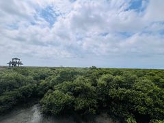 -北海金海湾红树林生态旅游区