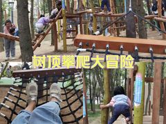 -李村大集