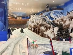 -长沙湘江欢乐雪域