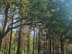 -仙山湖景区