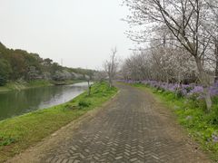 -上海海湾国家森林公园