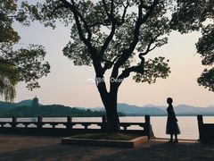 -杭州西湖柳莺里酒店
