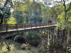 -野象谷景区