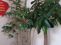 -感智盲人按摩·艾灸·肩颈SPA(岗厦店)