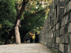 -房湖公园