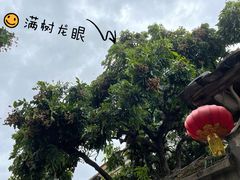-琴江满族村