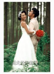8IMG_3317&nbsp;拷贝-扬州龙摄影·全球旅拍(维扬路总店)