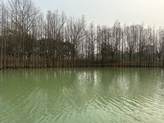 -苏州太湖国家湿地公园