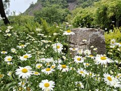-雁荡山三折瀑景区