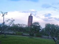 -西海子公园