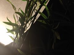 -康之道盲人按摩(长风路店)