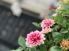 -旺山·浪头人家