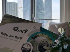 -O2ark智能微高压氧舱(天津旗舰店)
