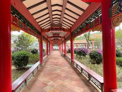 -顺峰山公园