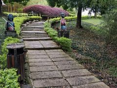 -森波拉火山温泉