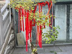 -卓刀泉寺