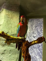 -Zoolung Zoolung动物主题公园(海信广场店)