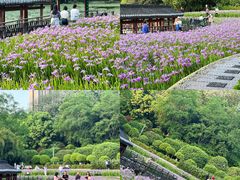 -龙头寺公园
