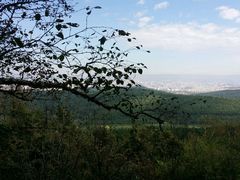 -帽儿山国家森林公园