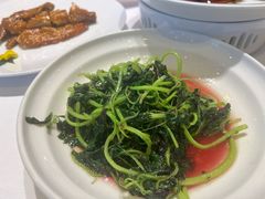 -天福苑(崇宁路店)