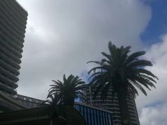 -舟山希尔顿酒店