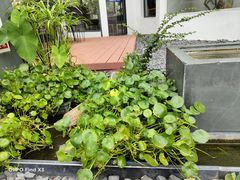 -宴南庭·闽味私房菜