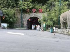 -栾川竹海野生动物园