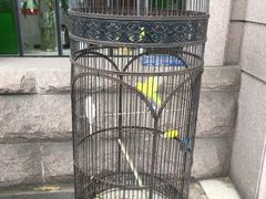 -老味道民宿(栈桥店)