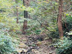 -素山寺森林公园