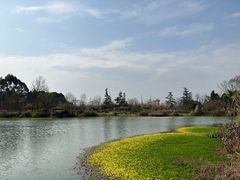 -桤木河湿地公园