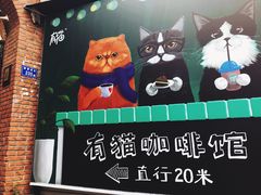 -有猫主题·治愈系猫咖(曾厝垵店)