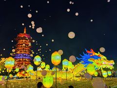 -洋湖国家湿地公园