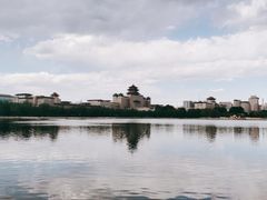 -莲花池公园