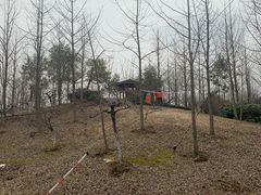 -南京邮电大学(仙林校区)