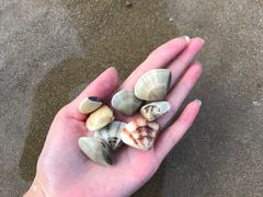 -六鳌翡翠湾滨海度假景区