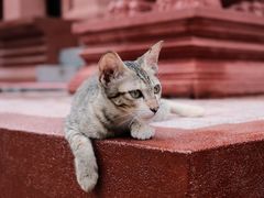 -柬埔寨国家博物馆