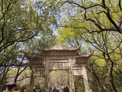 -灵岩山风景区