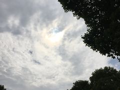 -漕湖湿地公园