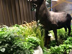 -梁家大院•农家菜(昆山会展中心店)